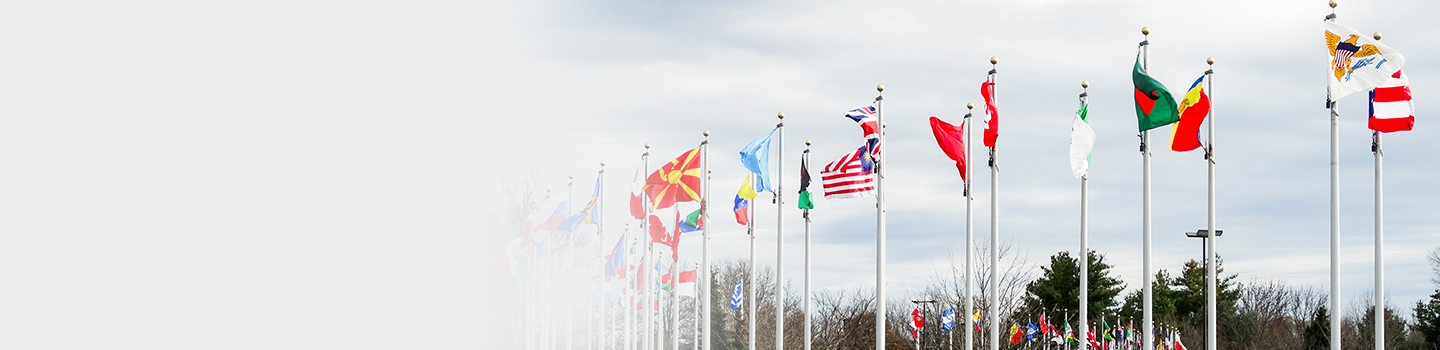 Flags from many different nations flow in the wind  